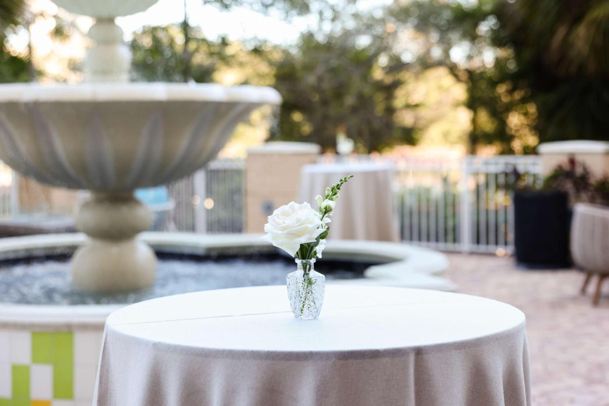 Hilton St. Petersburg Carillon Park Hotel Екстериор снимка